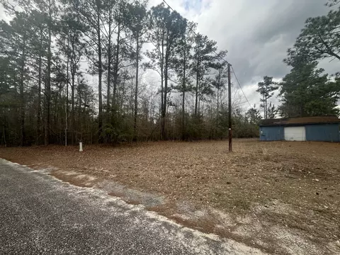 101 Driggers Ln, Walterboro, SC 29488 photo 22