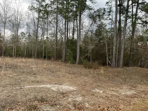 101 Driggers Ln, Walterboro, SC 29488 photo 17