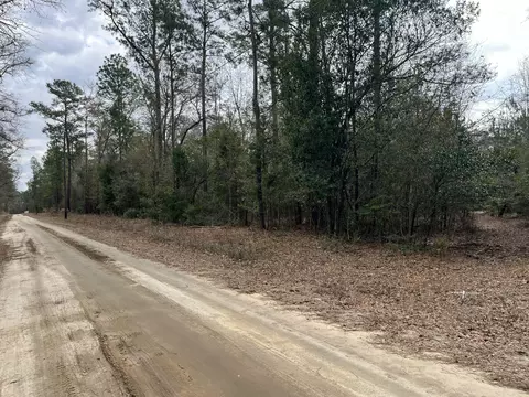 101 Driggers Ln, Walterboro, SC 29488 photo 12