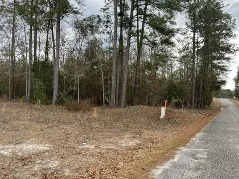 101 Driggers Ln, Walterboro, SC 29488 photo 16