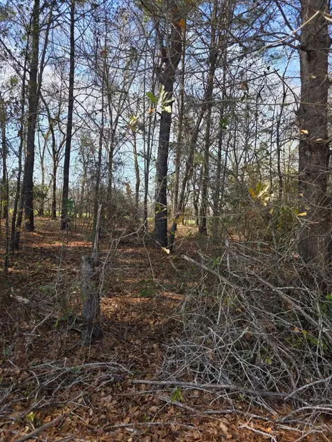 0 Adnah Church Rd, Islandton, SC 29929