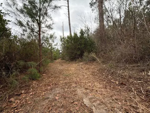 Bff Ii 2 J C Barefoot Road #BFF II 2, Patrick, SC 29584 photo 7