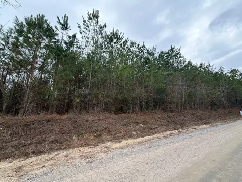 Bff Ii 2 J C Barefoot Road #BFF II 2, Patrick, SC 29584 photo 6