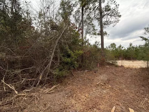 Bff Ii 2 J C Barefoot Road #BFF II 2, Patrick, SC 29584 photo 8