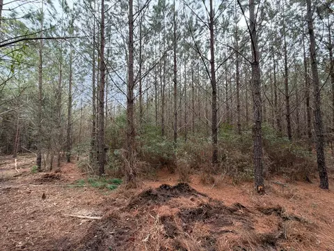 Bff Ii 2 J C Barefoot Road #BFF II 2, Patrick, SC 29584 photo 3