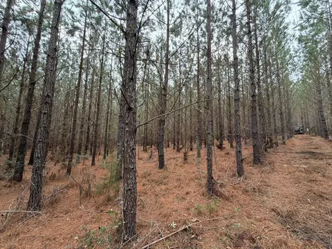 Bff Ii 2 J C Barefoot Road #BFF II 2, Patrick, SC 29584 photo 2