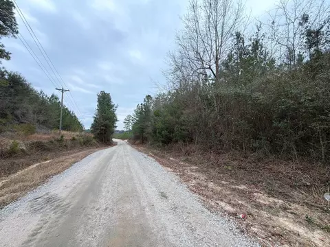 Bff Ii 2 J C Barefoot Road #BFF II 2, Patrick, SC 29584 photo 4
