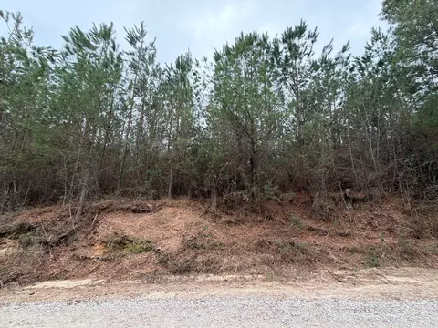 Bff Ii 2 J C Barefoot Road #BFF II 2, Patrick, SC 29584 photo 5