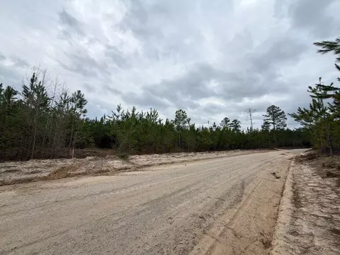Bff Ii 4 J C Barefoot Road, Patrick, SC 29584 photo 8