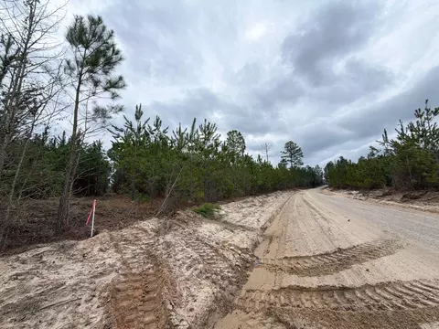 Bff Ii 4 J C Barefoot Road, Patrick, SC 29584 photo 9