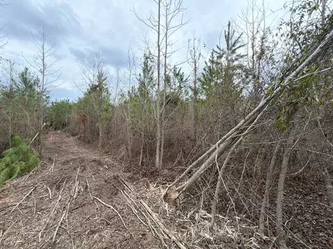 Bff Ii 4 J C Barefoot Road, Patrick, SC 29584 photo 13
