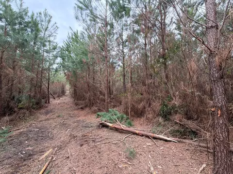 Bff Ii 4 J C Barefoot Road, Patrick, SC 29584 photo 16