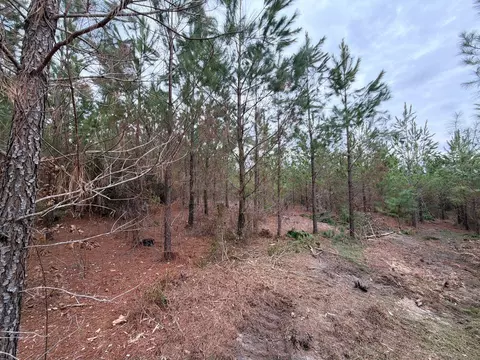 Bff Ii 4 J C Barefoot Road, Patrick, SC 29584 photo 19