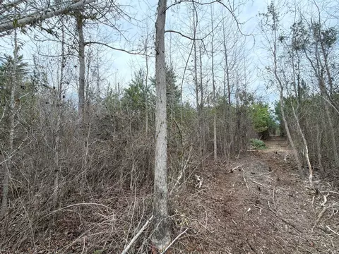 Bff Ii 4 J C Barefoot Road, Patrick, SC 29584 photo 14