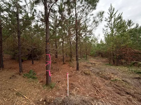 Bff Ii 4 J C Barefoot Road, Patrick, SC 29584 photo 21