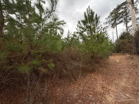 Bff Ii 4 J C Barefoot Road, Patrick, SC 29584 photo 3