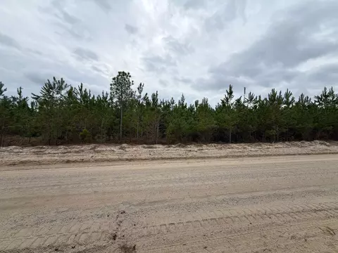 Bff Ii 4 J C Barefoot Road, Patrick, SC 29584 photo 7
