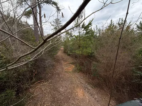 Bff Ii 4 J C Barefoot Road, Patrick, SC 29584 photo 2