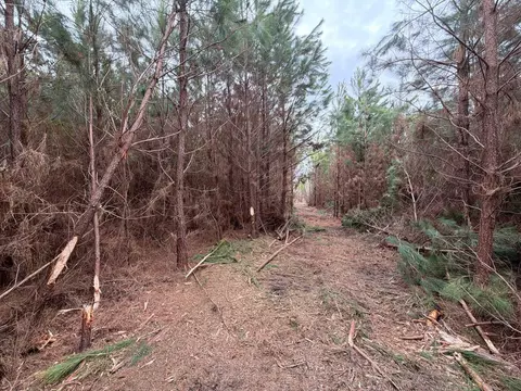 Bff Ii 4 J C Barefoot Road, Patrick, SC 29584 photo 17