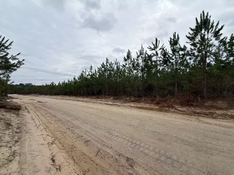 Bff Ii 4 J C Barefoot Road, Patrick, SC 29584 photo 6
