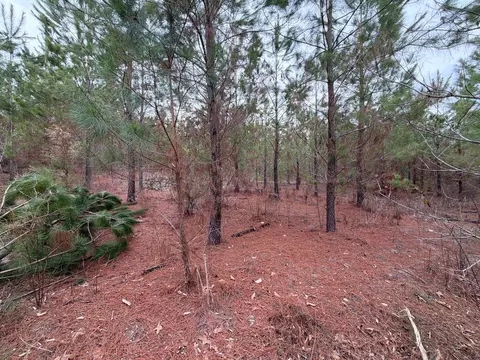 Bff Ii 4 J C Barefoot Road, Patrick, SC 29584 photo 18