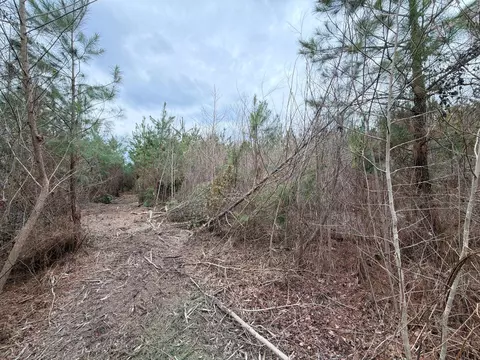 Bff Ii 4 J C Barefoot Road, Patrick, SC 29584 photo 15