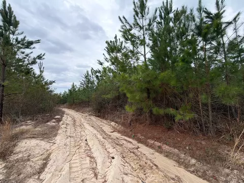 Bff Ii 4 J C Barefoot Road, Patrick, SC 29584 photo 4
