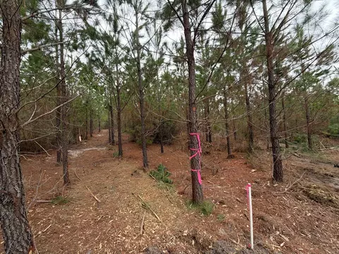 Bff Ii 4 J C Barefoot Road, Patrick, SC 29584 photo 20