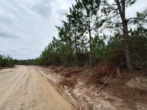 Bff Ii 4 J C Barefoot Road, Patrick, SC 29584 photo 5