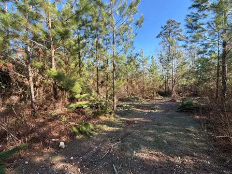6 Brunson Teal Road, Patrick, SC 29584 photo 5