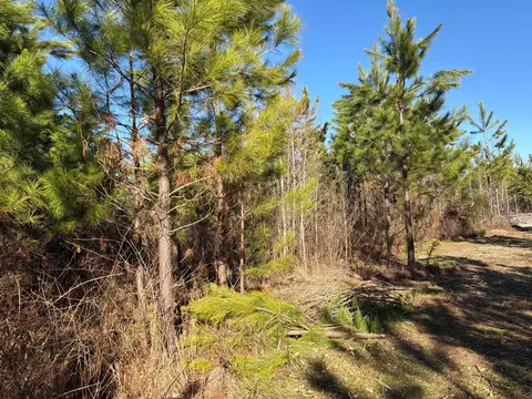 6 Brunson Teal Road, Patrick, SC 29584 photo 13