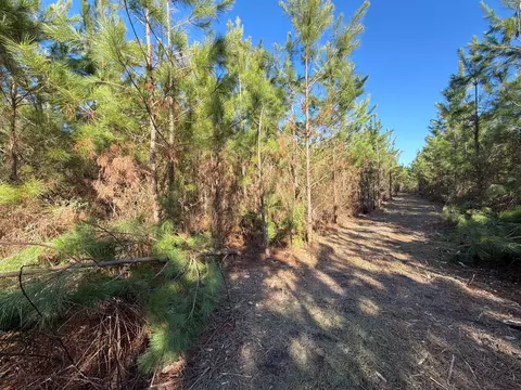 6 Brunson Teal Road, Patrick, SC 29584 photo 8