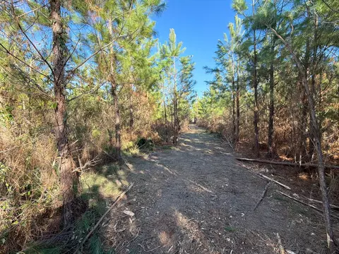 6 Brunson Teal Road, Patrick, SC 29584 photo 2