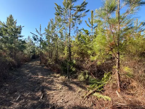 6 Brunson Teal Road, Patrick, SC 29584 photo 9