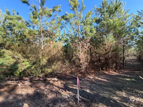 6 Brunson Teal Road, Patrick, SC 29584 photo 3