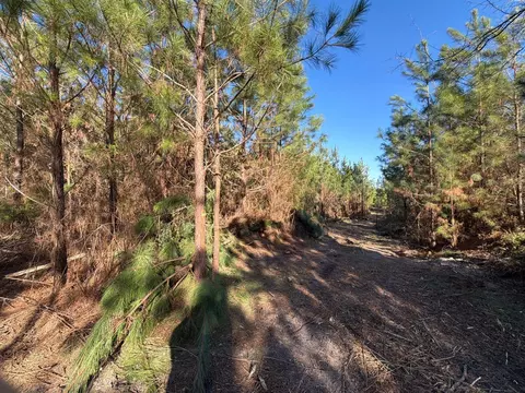 6 Brunson Teal Road, Patrick, SC 29584 photo 6