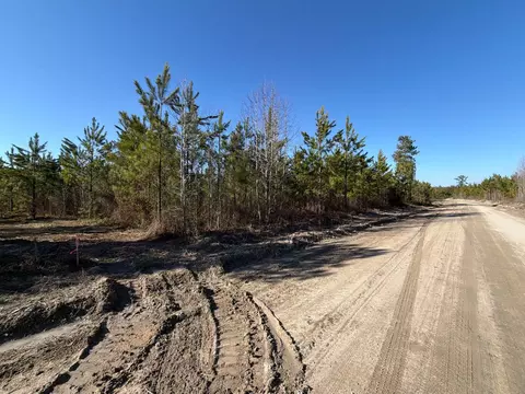 6 Brunson Teal Road, Patrick, SC 29584