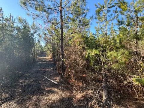 6 Brunson Teal Road, Patrick, SC 29584 photo 7