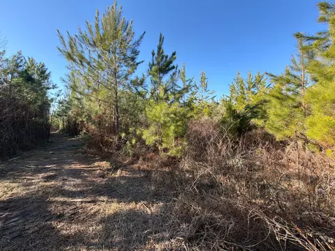 6 Brunson Teal Road, Patrick, SC 29584 photo 11