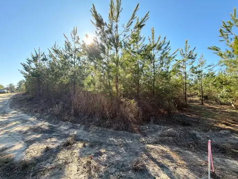 8 Brunson Teal Road, Patrick, SC 29584