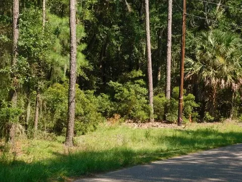 8662 Palmetto Rd, Edisto Island, SC 29438