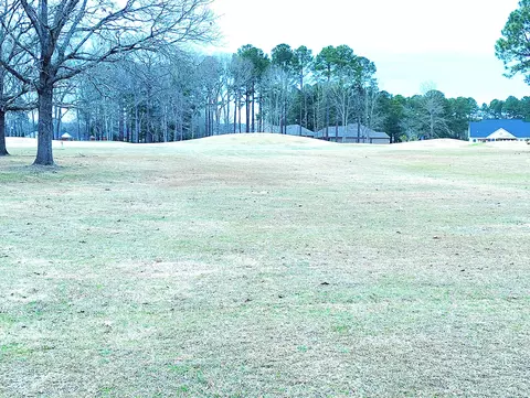 40 N Lake Cir, Manning, SC 29102