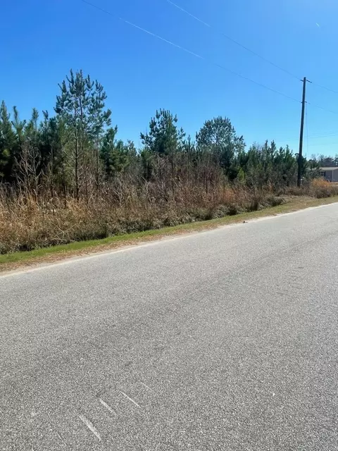 0 Herndon St, Walterboro, SC 29488