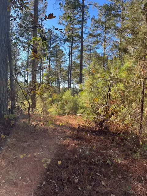 2 Dawkins Road #DRF 2, Pacolet, SC 29372