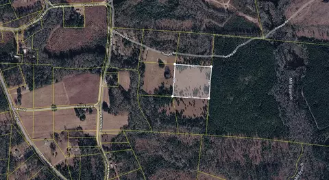 05 Pompey Rd, Manning, SC 29102