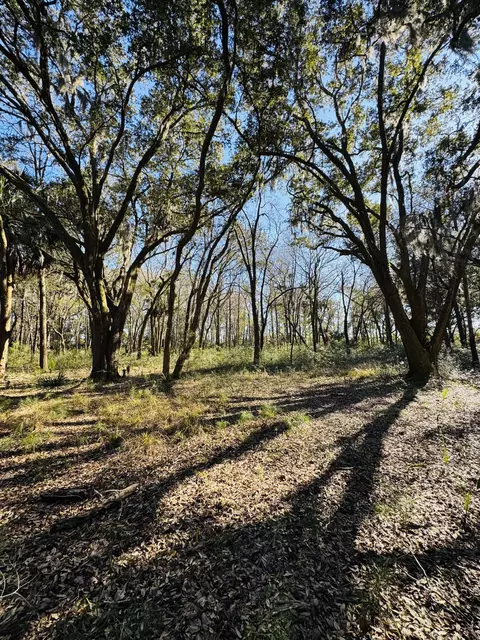 00 Rosa Scott Rd, Edisto Island, SC 29438