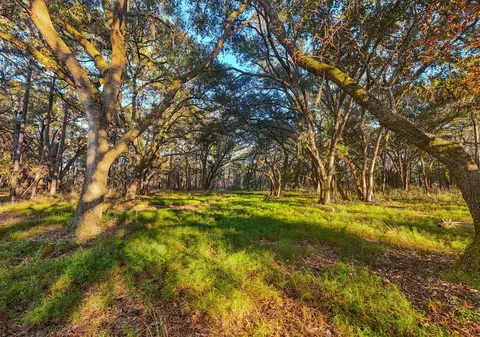0 King Rail Ln, Edisto Island, SC 29438