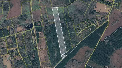 0 Rutin Buck Ln, Cottageville, SC 29435