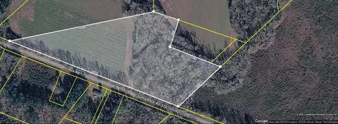0 Guess Rd, Greeleyville, SC 29056