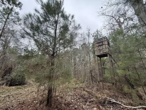 9750 Cottageville Hwy, Cottageville, SC 29435
